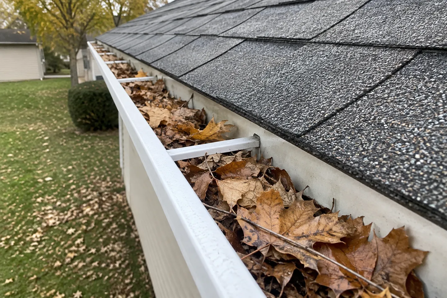 Leaves and twigs collected inside an open rain gutter